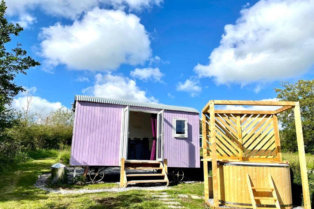 Lilac Tree Hut Tenby Eksteriør billede