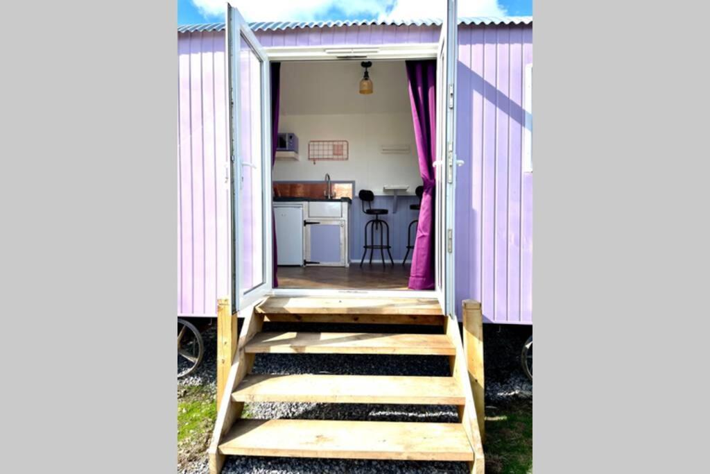 Lilac Tree Hut Tenby Eksteriør billede