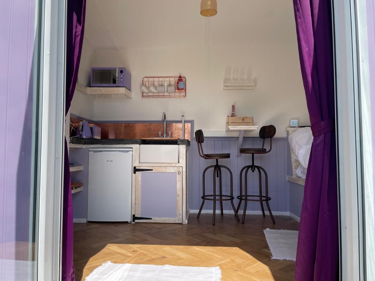 Lilac Tree Hut Tenby Eksteriør billede